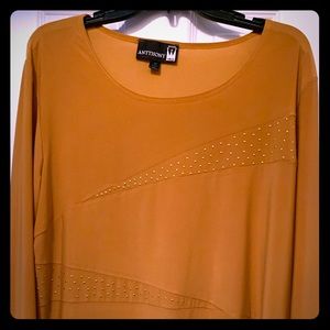 Gold long sleeve top with gold sparkles!